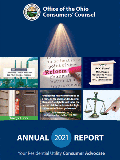 2020 Annual Report Thumbnail