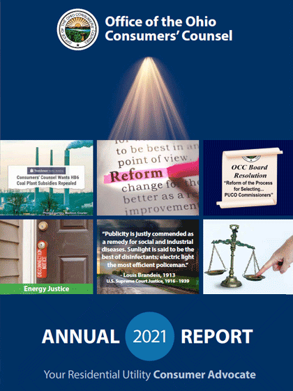 OCC Annual Report 2020