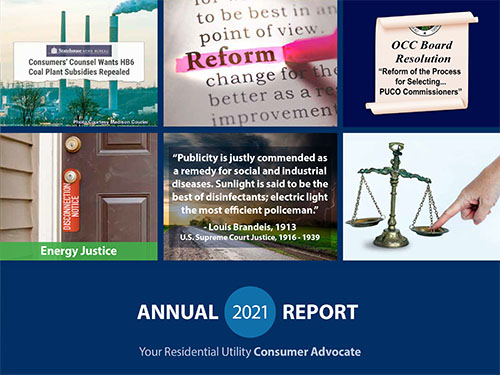 Annual 2021 Report Thumbnail