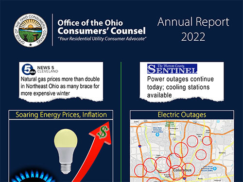 Annual 2022 Report Thumbnail
