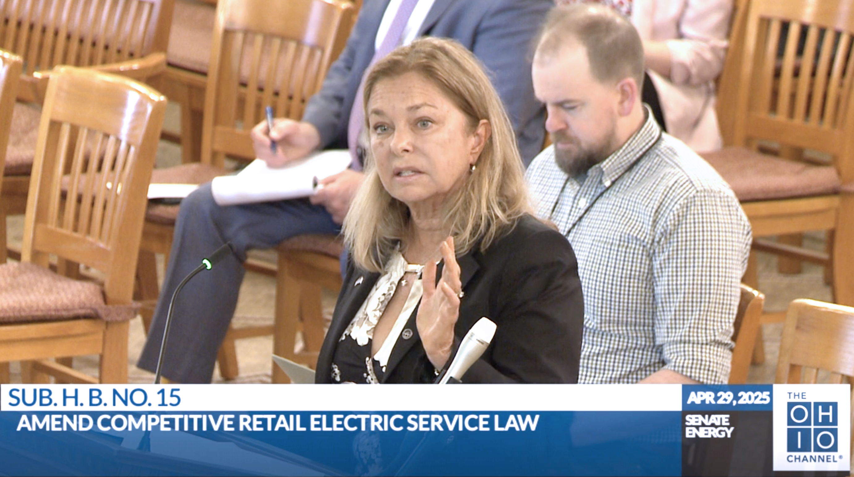 Consumers' Counsel Maureen Willis gives testimony in support of HB15 during the Senate Energy Committee hearing.