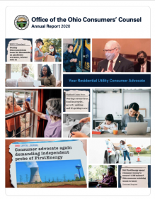 OCC Annual Report 2020