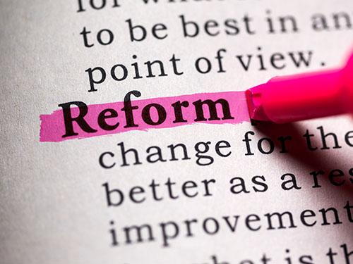 highlighting reform in the dictionary